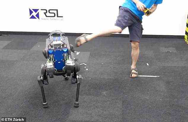 Das Design, das oberflächlich dem Roboterhund Spot von Boston Dynamics ähnelt, wurde zuvor mit seiner KI gezeigt, um nach einem Tritt wieder aufzustehen (Bild)