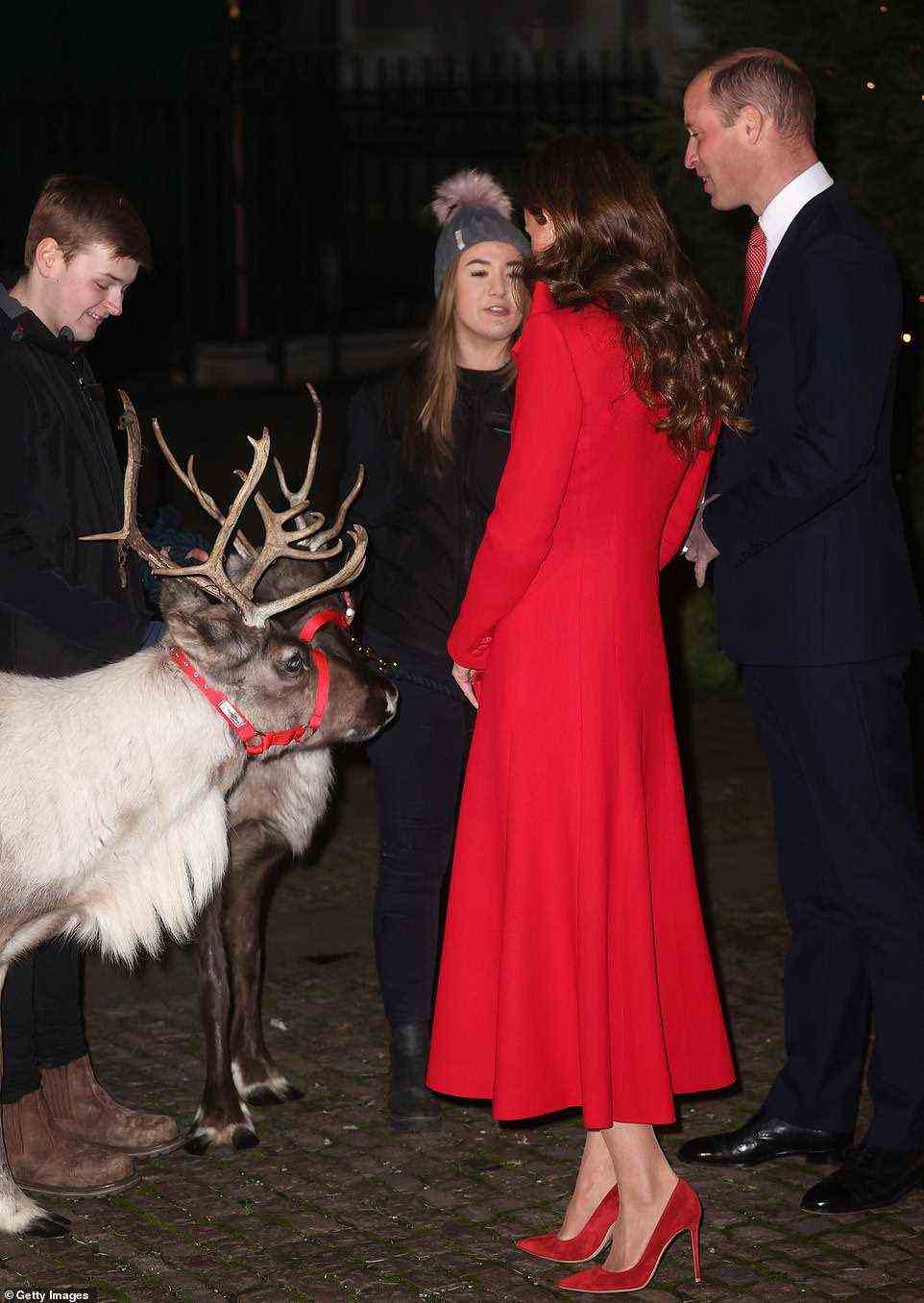 A festive friend! As the Duke and Duchess of Cambridge arrived at the event, they were greeted by two reindeers (pictured)