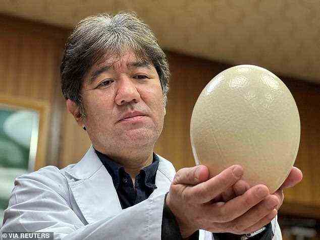 Die Antikörper wurden aus den Eiern von Straußen gewonnen, denen eine inaktive, nicht bedrohliche Form des Coronavirus injiziert wurde.  Es war Teil einer kleinen Studie, die von Yasuhiro Tsukamoto (im Bild) und seinem Team an der Kyoto Prefectural University im Westen Japans geleitet wurde