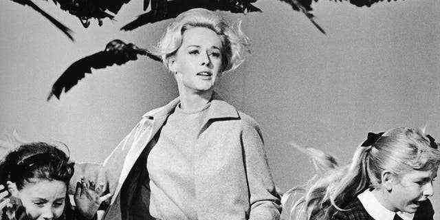 Tippi Hedren, die sich einen Namen gemacht hat "Die Vögel," sagte, dass "Marnie" war ihr letzter Film mit Alfred Hitchcock.
