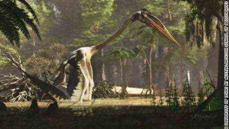 Das ist ein riesiges Reptil.  Der Flugsaurier Quetzalcoatlus ist in dieser Künstlerillustration dargestellt.