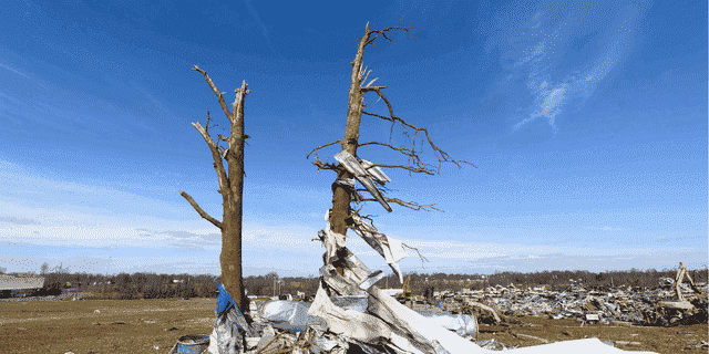 Trümmer werden um beschädigte Bäume gewickelt, während Rettungskräfte die Überreste der Mayfield Consumer Products Candle Factory durchsuchen, nachdem sie am 11. Dezember 2021 in Mayfield, Kentucky, von einem Tornado zerstört wurde.