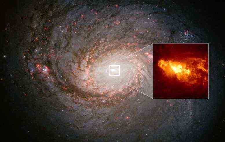   Black-Hole-getriebener Abfluss von Active Galaxy NGC 1068 