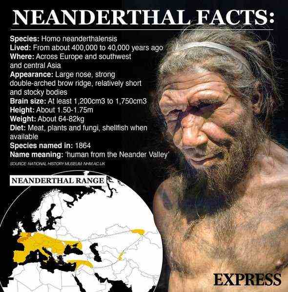 Neandertaler: Sie waren Menschen wie wir, aber eine eigene Spezies namens Homo neanderthalensis