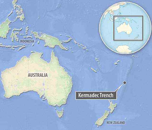 Der Kermadec-Graben vor der Küste Neuseelands ist der vierttiefste Graben der Welt und aufgrund des Zuflusses aus der Antarktis auch einer der kältesten
