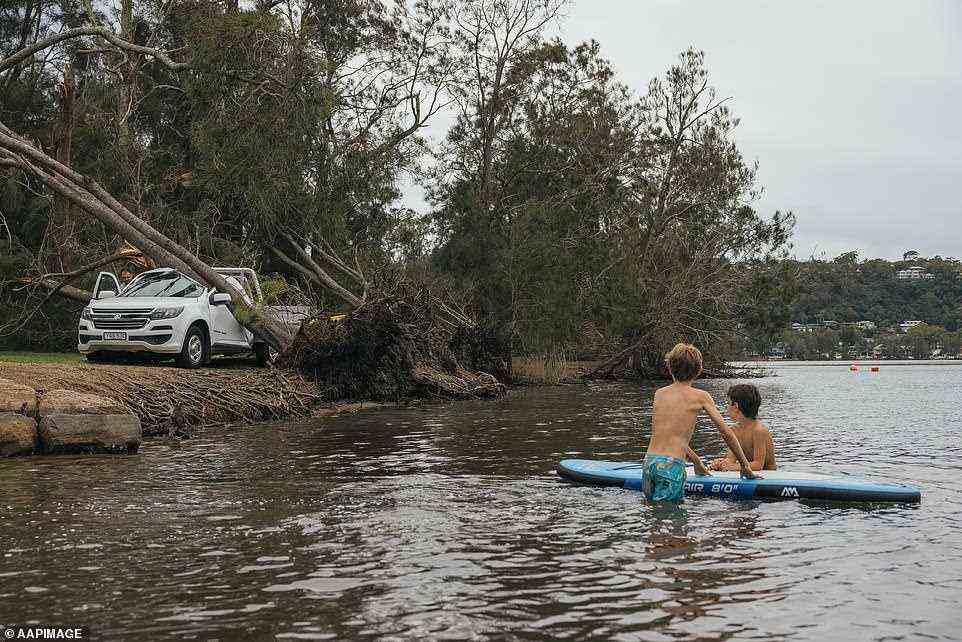 Zwei Kinder sehen vom Narrabeen Lake aus zu, wie Bäume entwurzelt und in eine nahe dem Ufer geparkte Ute geschlagen wurden