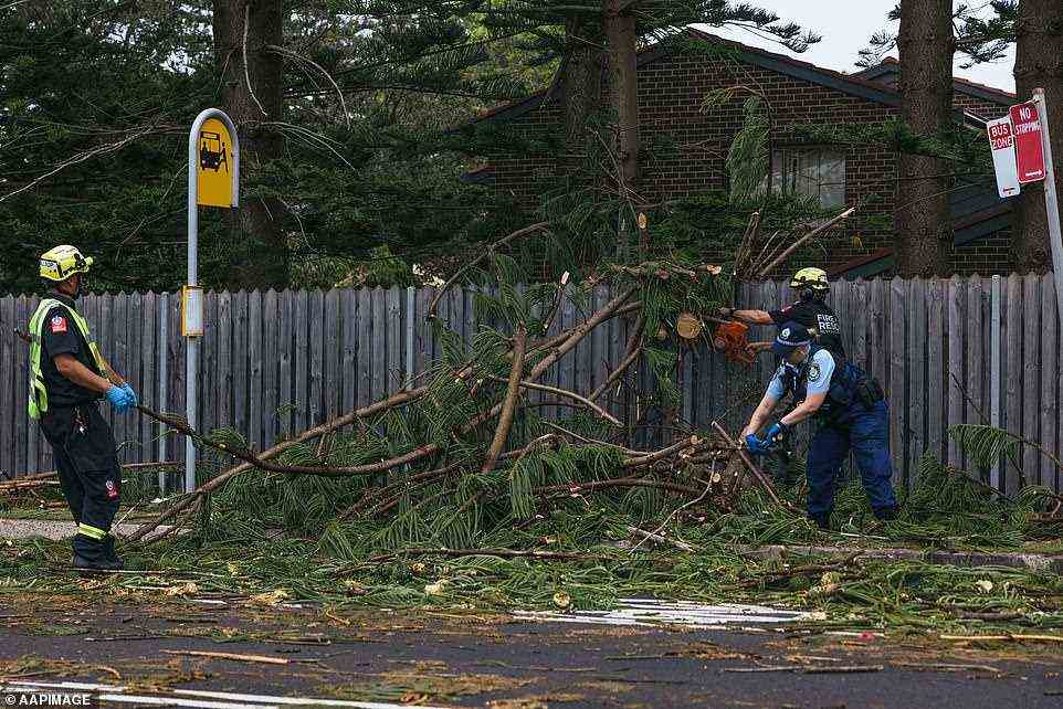 Rettungsdienste beseitigen die Verwüstung, die hinterlassen wurde, nachdem das verrückte Wetter am Sonntag Sydneys Norden getroffen hatte