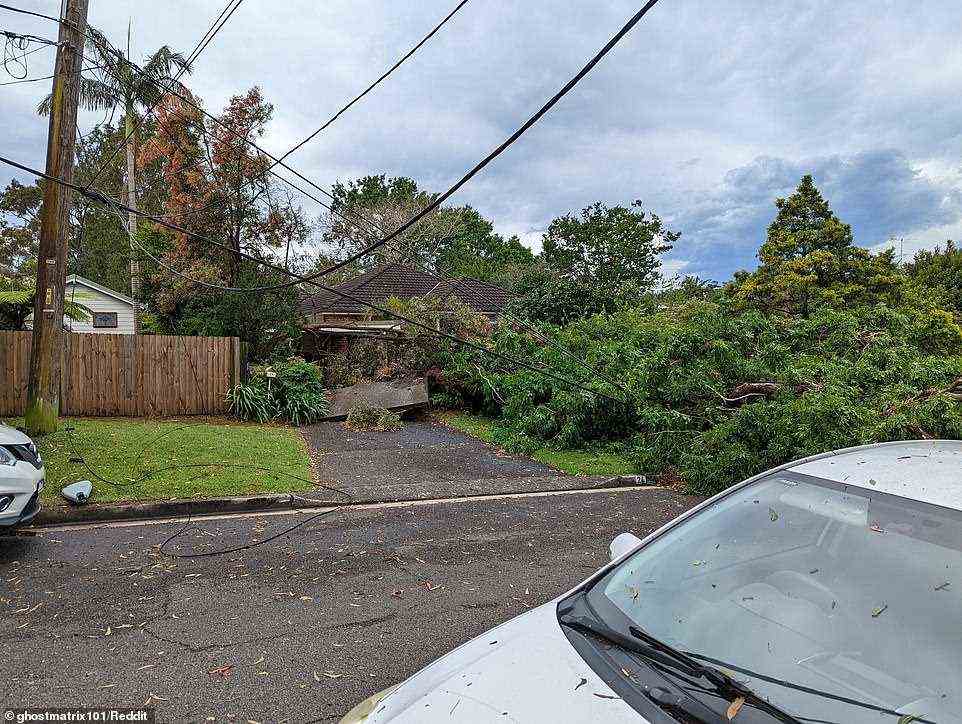 A cement driveway was uprooted by the storm as fallen trees took out powerlines around the area