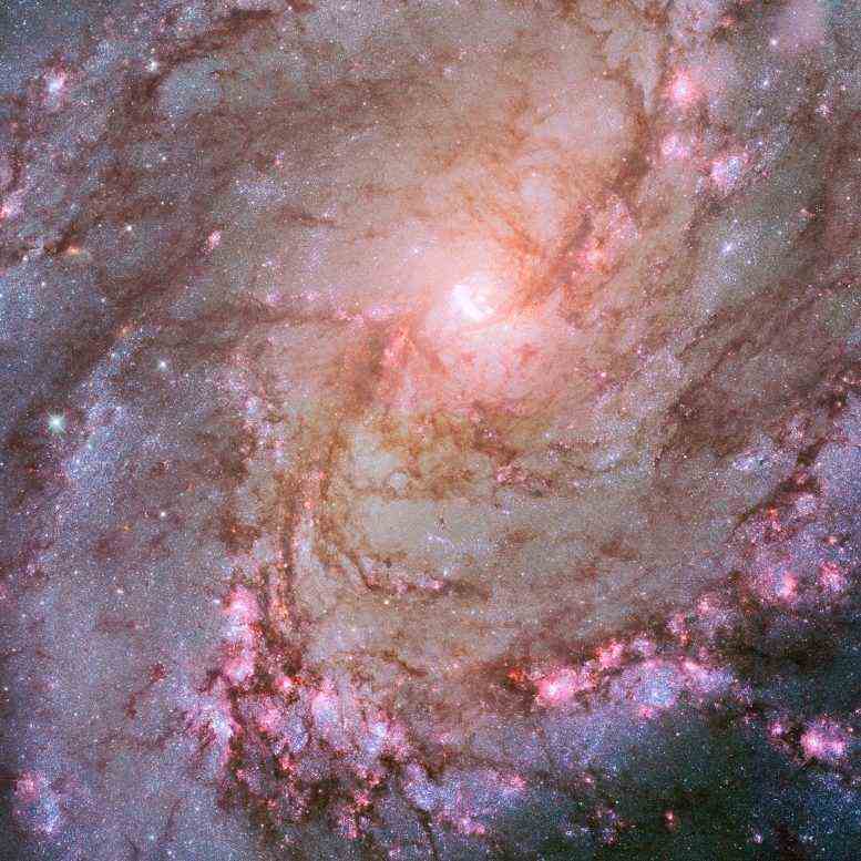 M83 Hubble-Weltraumteleskop