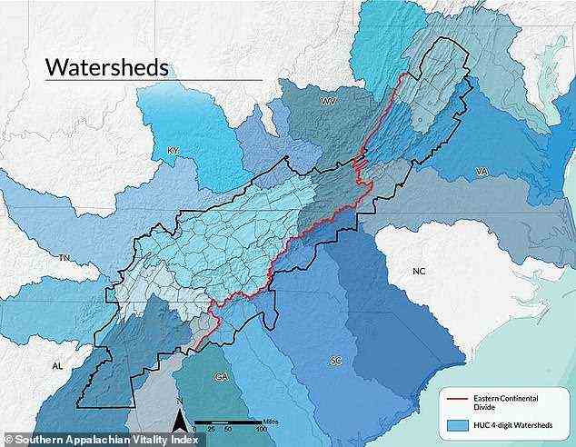 Bäche aus der bergigen Region der südlichen Appalachen versorgen 10 Millionen Menschen mit sauberem Trinkwasser, aber eine neue Studie zeigt, dass dieses Quellwasser nicht so rein ist, wie bisher angenommen