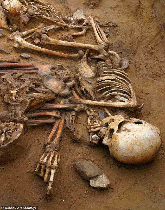 This photograph shows the skeleton of an elderly woman from the same burial pit at Cliffs End Farm, Kent