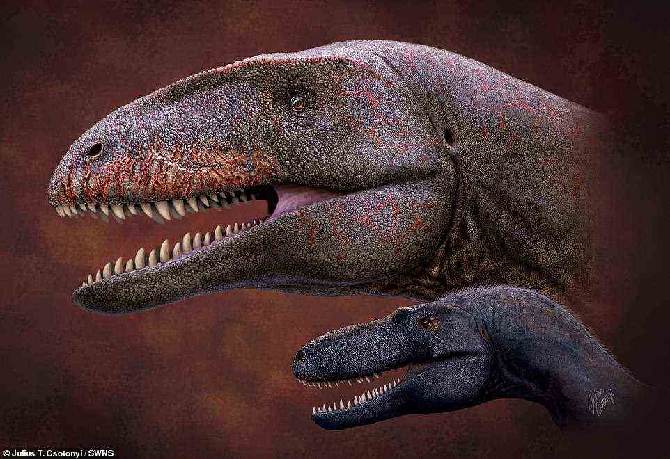Experts from Nagoya University in Japan have discovered the remains of a giant dinosaur in Uzbekistan, which they say was one of the mightiest killers that ever lived (artist's impression)