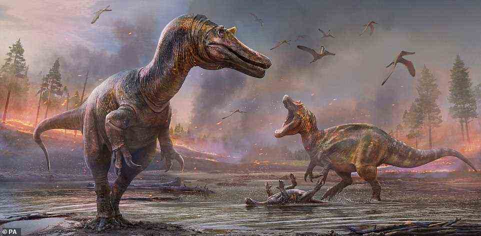 A new species of dinosaur that was four times the size of a king size bed roamed the Isle of Wight 125 million years ago, fossil analysis has revealed