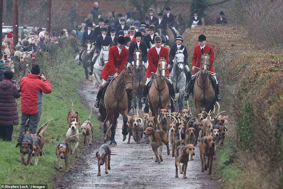 There were fears over what skipping the meets would have on the local community, with pubs and other local businesses cashing in on huge crowds gathering. Pictured: The Essex and Suffolk Hunt today