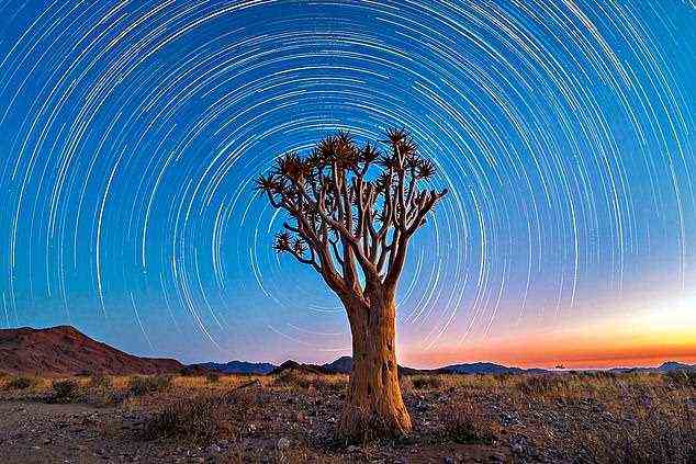 Kosmisch: Beobachten Sie mit Wilderness Safaris im Little Kulala Safari Camp unter dem dunklen Himmel Namibias die Sterne