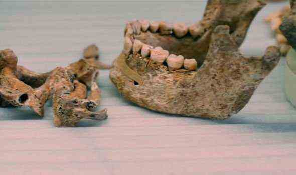 Menschliche Überreste: McKinley untersuchte zwei Skelette, von denen eines enthauptet worden war