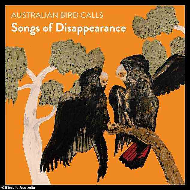 Das Album mit dem Titel Songs of Disappearance wurde von BirdLife Australia erstellt und enthält die Vogelstimmen von 53 der am stärksten bedrohten Vogelarten Australiens