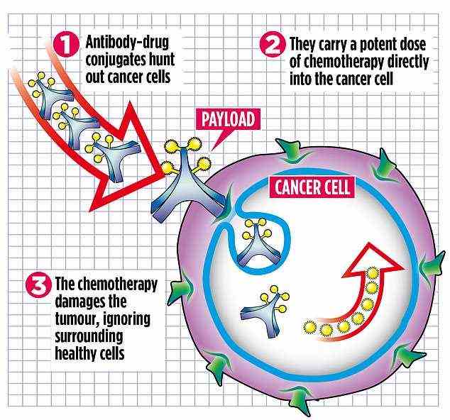Tausende von Blutkrebspatienten könnten bald von revolutionären Anti-Krebs-Antikörpern¿ profitieren, die das Rückfallrisiko um ein Viertel senken und die Patienten vor den toxischen Wirkungen der Chemotherapie bewahren