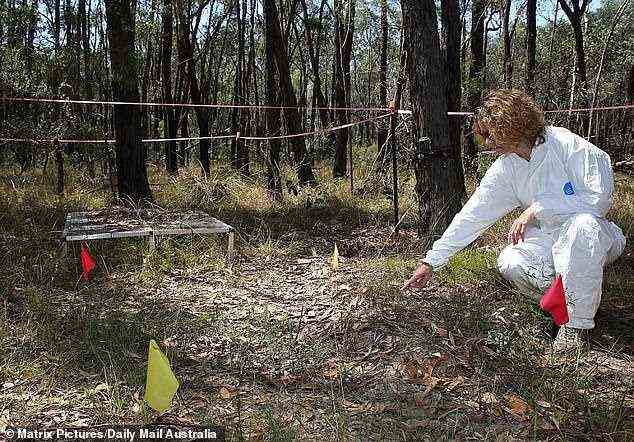 There are already about 10 human body farms in four countries around the world – one each in Canada, Australia and the Netherlands and the rest in the US. Pictured is the one in Australia, on the outskirts of Sydney