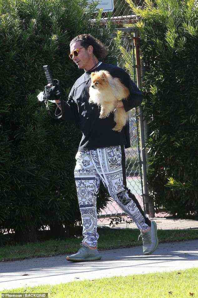 Das Neueste: Gavin Rossdale, 55, ging am Sonntag mit seinem Hund Chewy in einem Park in Los Angeles spazieren, um zwischen den anhaltenden Regenfällen in Südkalifornien etwas Zeit draußen zu haben