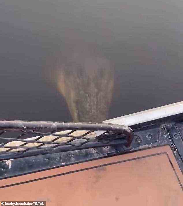 Eine Frau im Northern Territory hat ein Video von einem Krokodil (oben) gefilmt, das um ein Boot herum lauert, bevor es aus dem Wasser springt und versucht, es anzugreifen