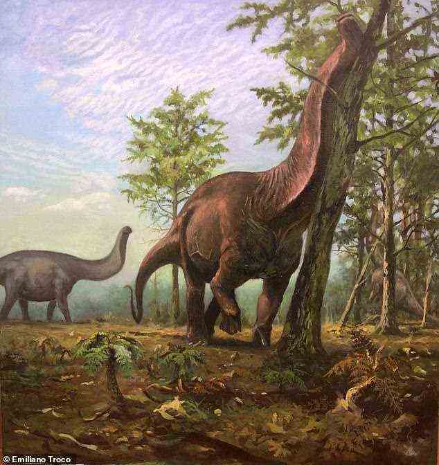 Sauropoden (wie der abgebildete Brontosaurus) lebten bevorzugt in wärmeren Regionen der Erde, was darauf hindeutet, dass sie möglicherweise eine andere Physiologie als andere Dinosaurier hatten, hat eine Studie ergeben