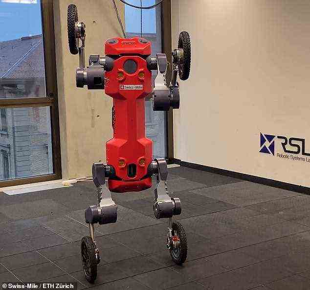 Vergessen Sie Optimus Prime und Megatron!  Schweizer Experten haben einen vierrädrigen Roboter entwickelt, der sich auf den Hinterbeinen aufrichten und sich wie ein Pudel drehen kann (wie abgebildet)