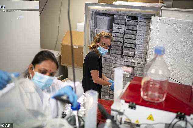 Wissenschaftler des Africa Health Research Institute in Durban, Südafrika, arbeiten am 15. Dezember an der Omicron-Variante des Coronavirus