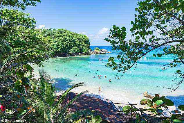 Abgebildet ist Winnifred Beach, Jamaika.  Sian plant, die karibische Insel für einen 