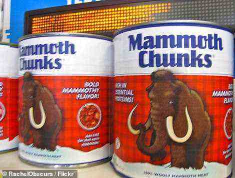 Appetit bekommen?  Sie können Dosen mit 'Mammoth Chunks' (im Bild) bekommen, die sich durch einen 'fetten Mammutgeschmack' auszeichnen.  Bild mit freundlicher Genehmigung von Creative Commons