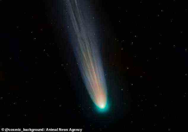 Komet Leonard wurde zum ersten Mal vor fast einem Jahr genau am 3. Januar 2021 vom Astronomen Gregory J Leonard gesehen.  Es war damals 
