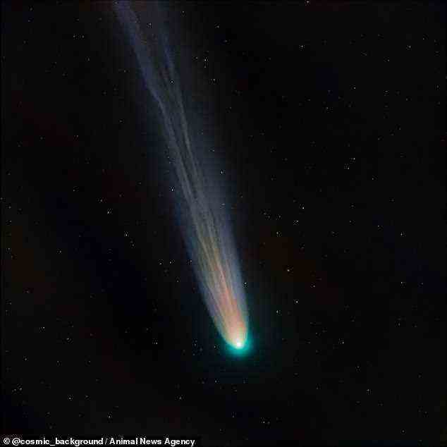 Andrew stapelte 25 seiner über 12 Minuten aufgenommenen Aufnahmen, um die schwächeren Details des dünnen Schweifs des Kometen hervorzuheben
