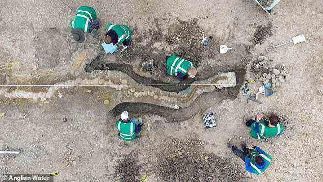 The ichthyosaur was discovered by one Joe Davis, conservation team leader with the Leicestershire and Rutland Wildlife Trust that operates the reserve along with Anglian Water