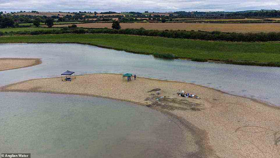 This is not the first ichthyosaur specimen to have been found at the Rutland Water Nature Reserve — with two smaller, partially complete fossil skeletons having been found during the construction of the reservoir back in the 1970s. Pictured: the latest excavation at the site