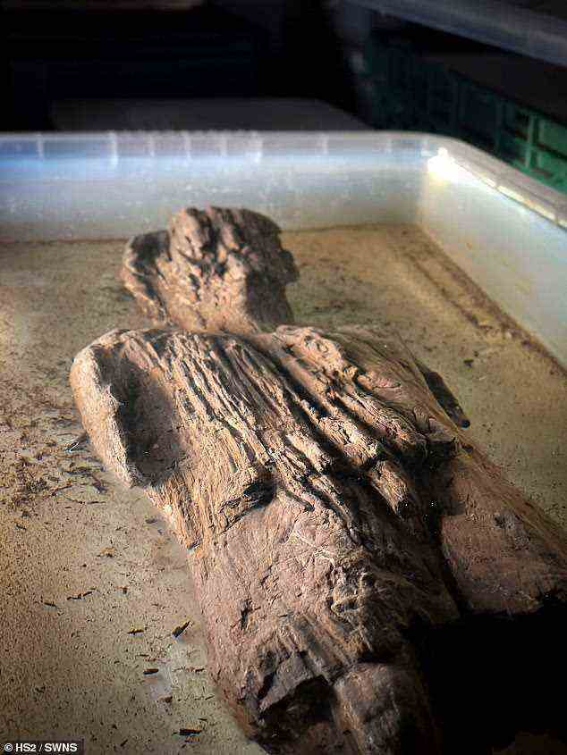 Archäologen sagten, dass der Sauerstoffmangel in dem Graben, in dem die Figur gefunden wurde, die Verrottung verhinderte und sie etwa 2.000 Jahre lang konservierte