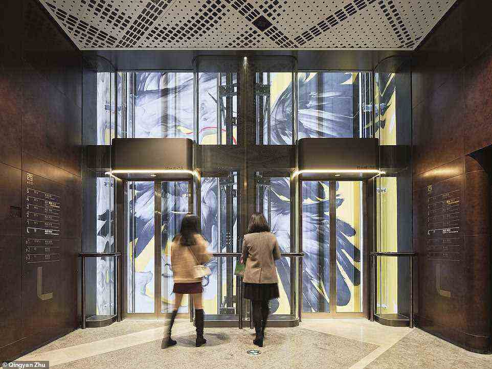Künstler haben die Aufzugsschächte des Gebäudes mit 40 m hohen Wandgemälden umgestaltet, die durch die gläsernen Aufzugskabinen sichtbar sind