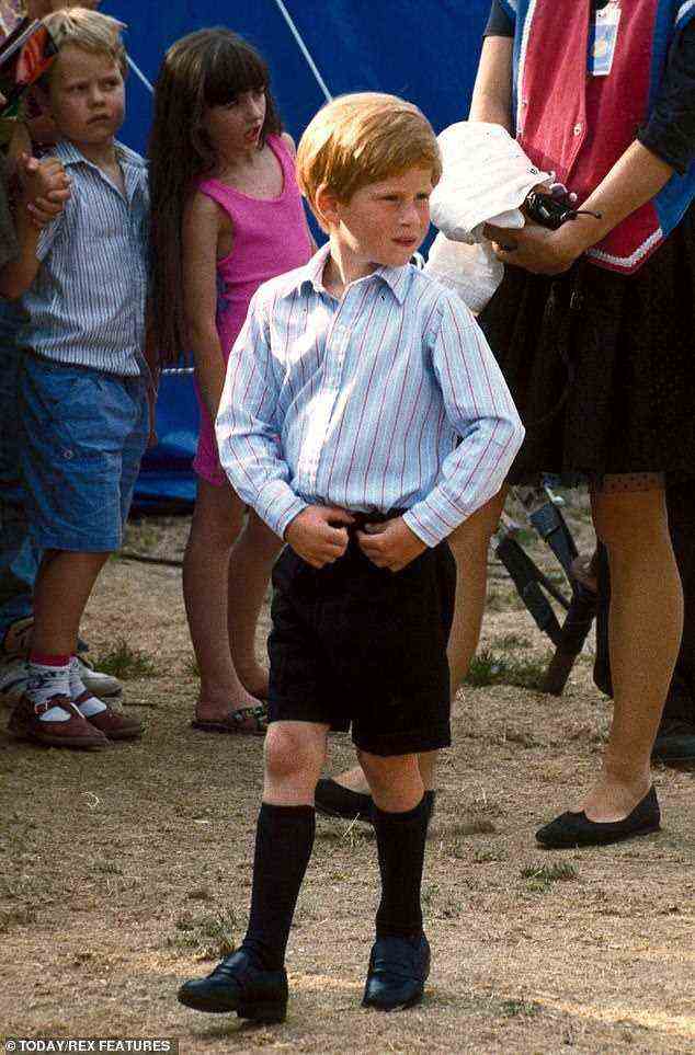 Die Skizze zeigt einen jungen rothaarigen Jungen mit zarten Gesichtszügen, ähnlich denen seines Neffen Prinz Harry, 37, der 1990 im Alter von sechs Jahren zu sehen war