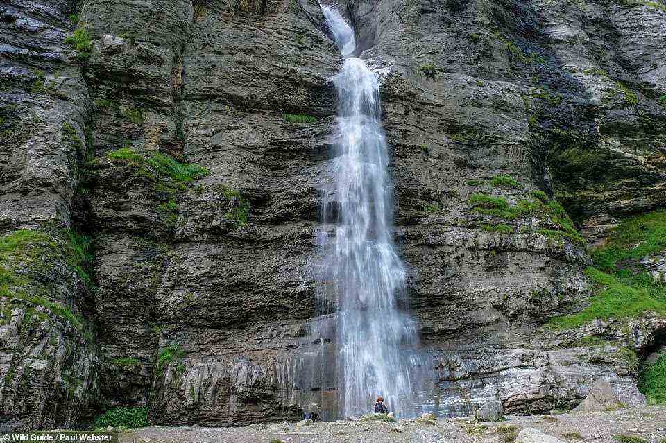 CASCADE DE LA GOUILLE VERTE, HAUT GIFFRE: There are good picnic spots near this 'massive waterfall', reveal the authors, which is 'as green as its name suggests'. Another plus point? 'A refreshing plunge pool.' Coordinates: 46.1029, 6.8512