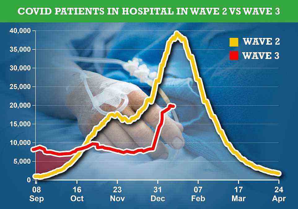 Despite the number of positive Covid samples registered during the third wave being three times higher than during the second wave, UKHSA data shows the number of infected patients in hospital peaked at 19,876 (red line) on January 10 2022 – half the level seen at the peak last winter, when 39,254 infected people were in hospital (yellow line)