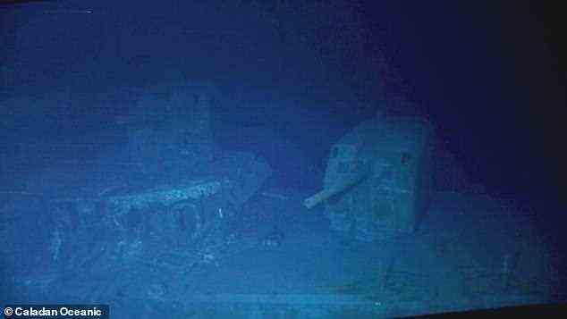 Das Schiffswrack wurde jedoch im April 2021 entdeckt – der Tintenfisch wurde bei einem weiteren Tauchgang zum Wrack gesichtet