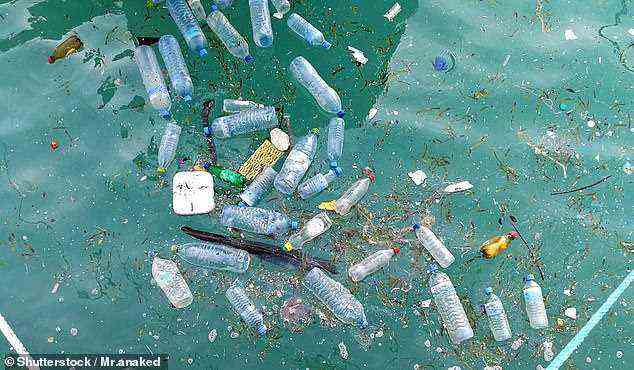 Plastik in unseren Flüssen und Ozeanen zerfällt einfach in immer kleinere Teile, wodurch schließlich Mikroplastik entsteht
