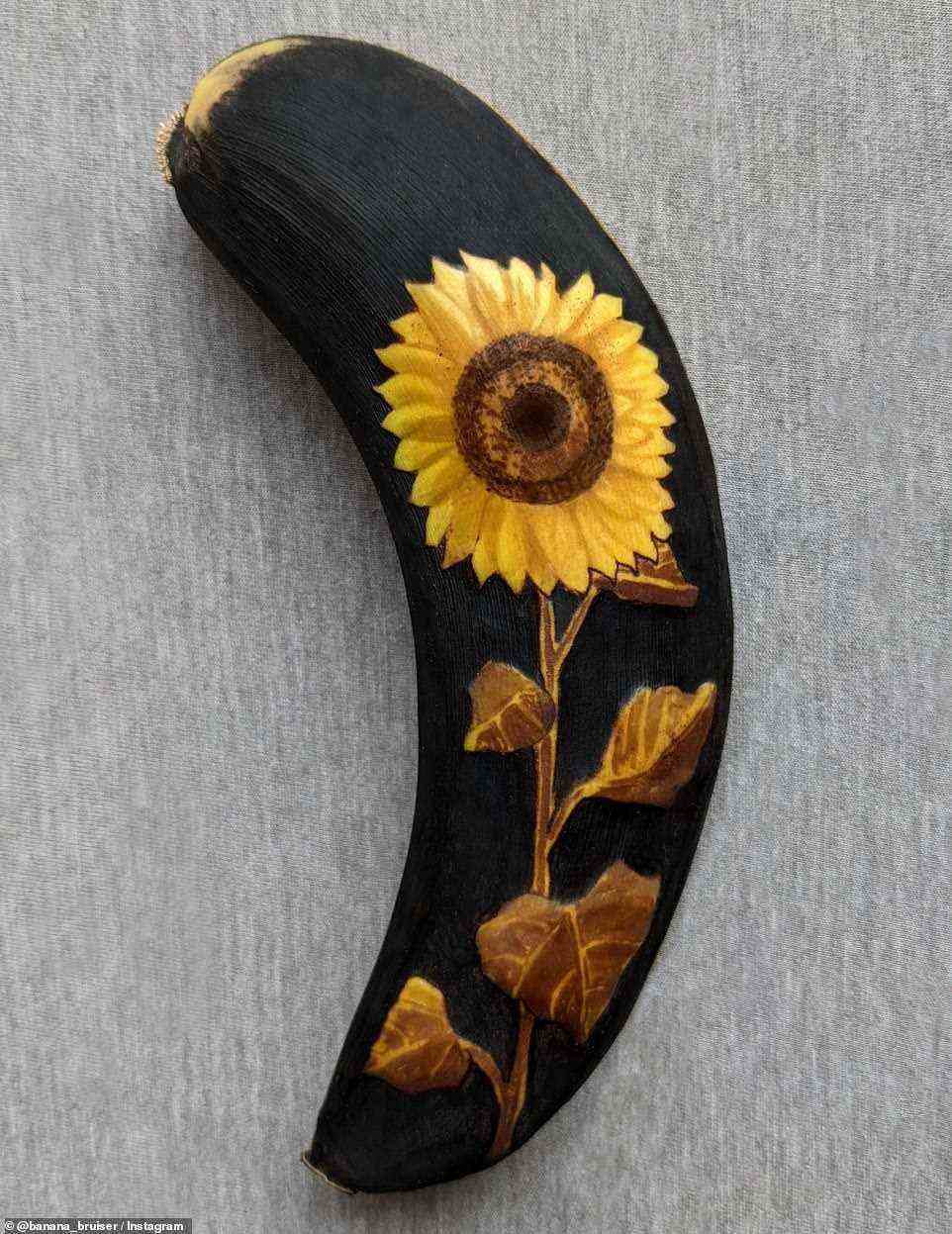 Wachsende Zuversicht: Sonnenblume geht auf.  Jede Banane dauert 90 Minuten.