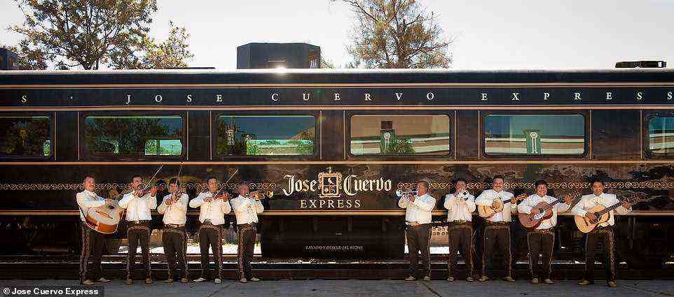 Fahrten mit dem abgebildeten Jose Cuervo Express-Zug finden jeden zweiten Samstag statt