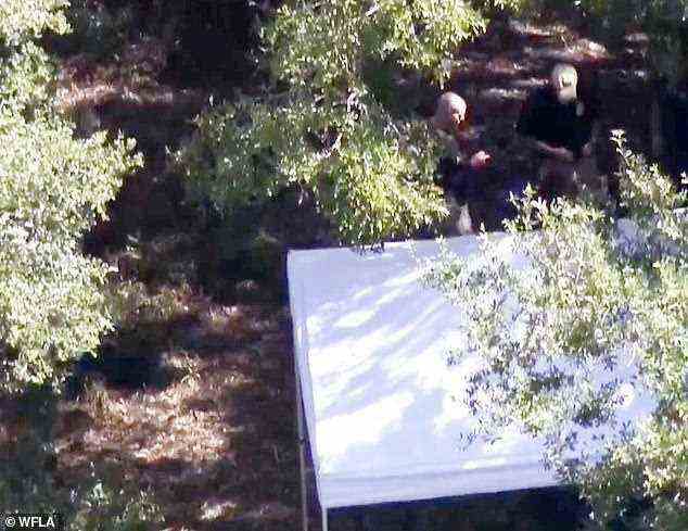 An evidence tent is set up in the Carlton Reserve park where Laundrie's remains were discovered on October 20