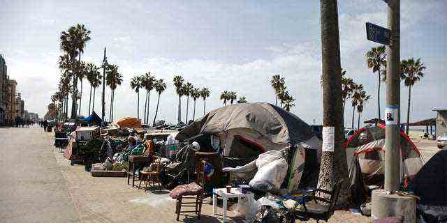 Obdachlosenlager säumen die Promenade am Venice Beach in Los Angeles.  Anwohner und Geschäftsinhaber haben gesagt, dass die Lager zu einem Anstieg der Kriminalität und anderen Problemen mit der Lebensqualität geführt haben.  (Reuters/Lucy Nicholson)