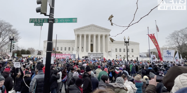 Aktivisten versammeln sich während des 49. jährlichen Marsches für das Leben vor dem Obersten Gerichtshof.