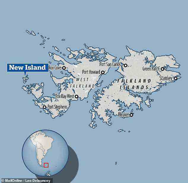 Von der Universität Oxford geleitete Experten verwendeten GPS-Sensoren, Beschleunigungsmesser und Tiefenschreiber, um die Population der Schwarzbrauenalbatrosse zu untersuchen, die auf New Island auf den Falklandinseln leben