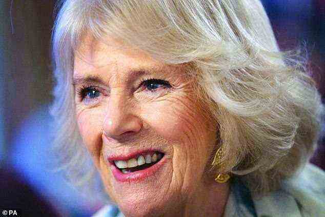 Camilla strahlte übers ganze Gesicht, als sie führende Persönlichkeiten der Frauenverteidigung traf, während sie 50 Jahre als führende Wohltätigkeitsorganisation für häusliche Gewalt Refuge feierte