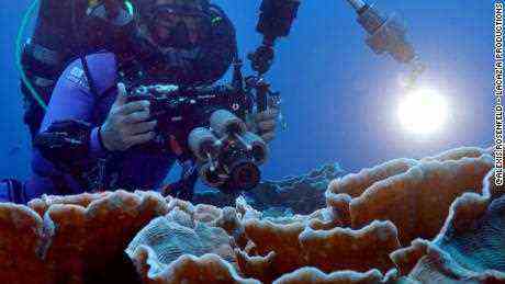 Atemberaubender Fund in der „Twilight Zone“ des Ozeans entdeckt