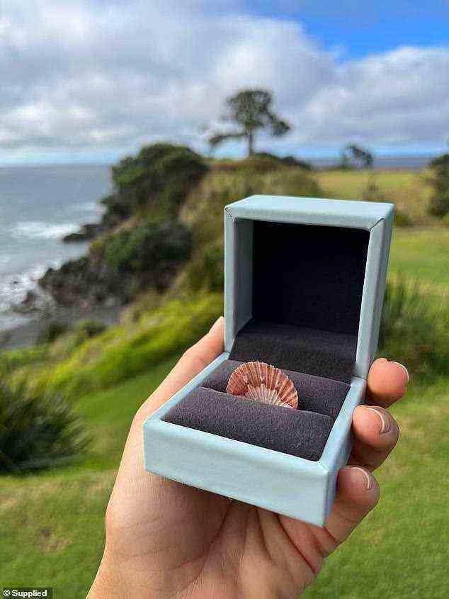 Topher schlug vor, diese winzige Muschel zu verwenden, etwas, das Bridgit ihm bei ihrem allerersten Date an einem Strand in Neuseeland gegeben hatte